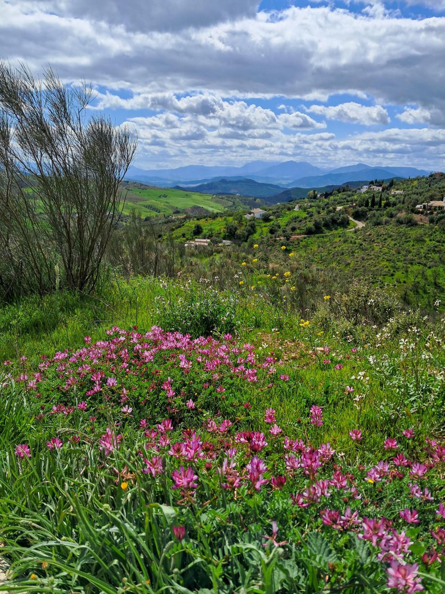 Finca Amorosa Villanueva de la Concepcion Bagian luar foto